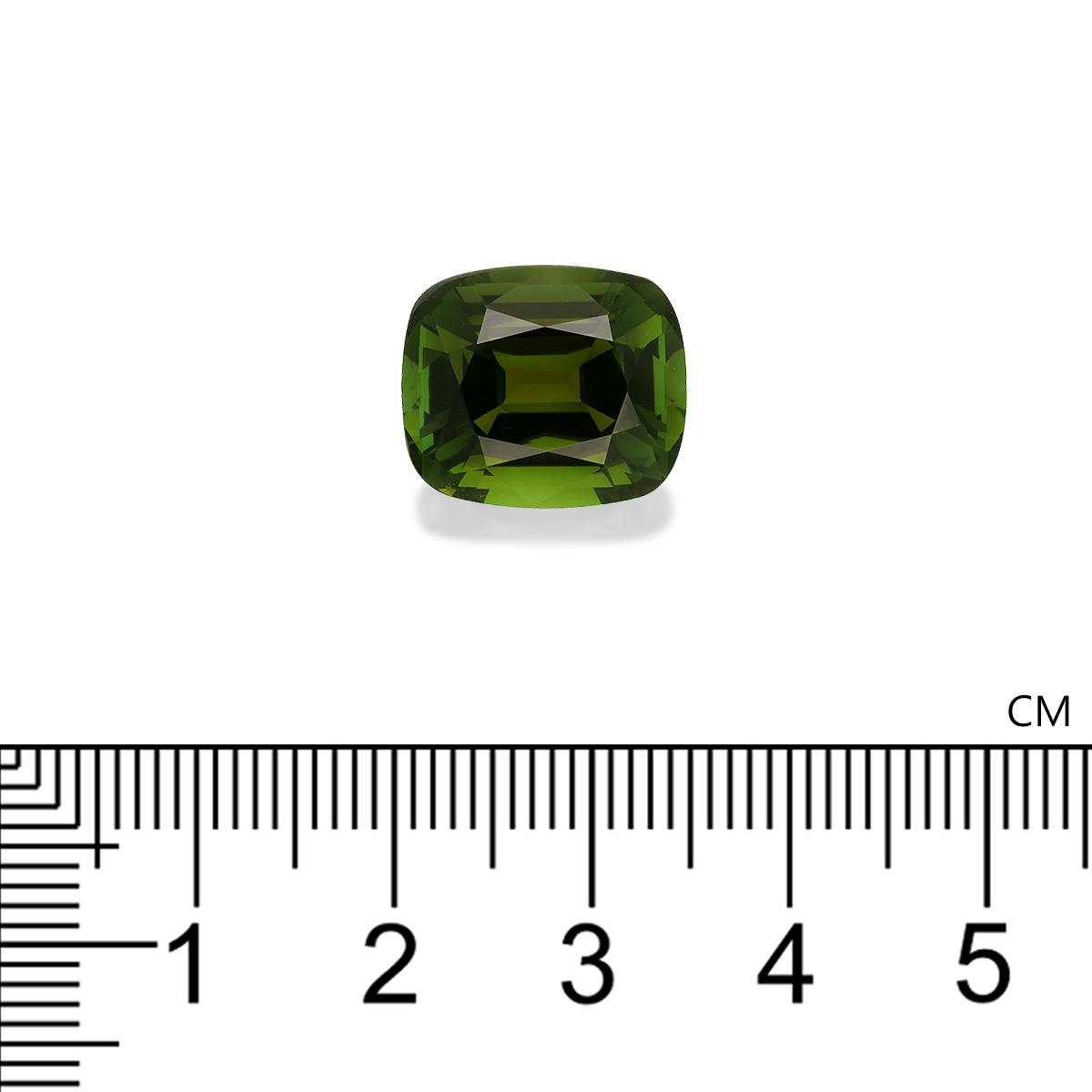 Green Tourmaline 9.83 ct